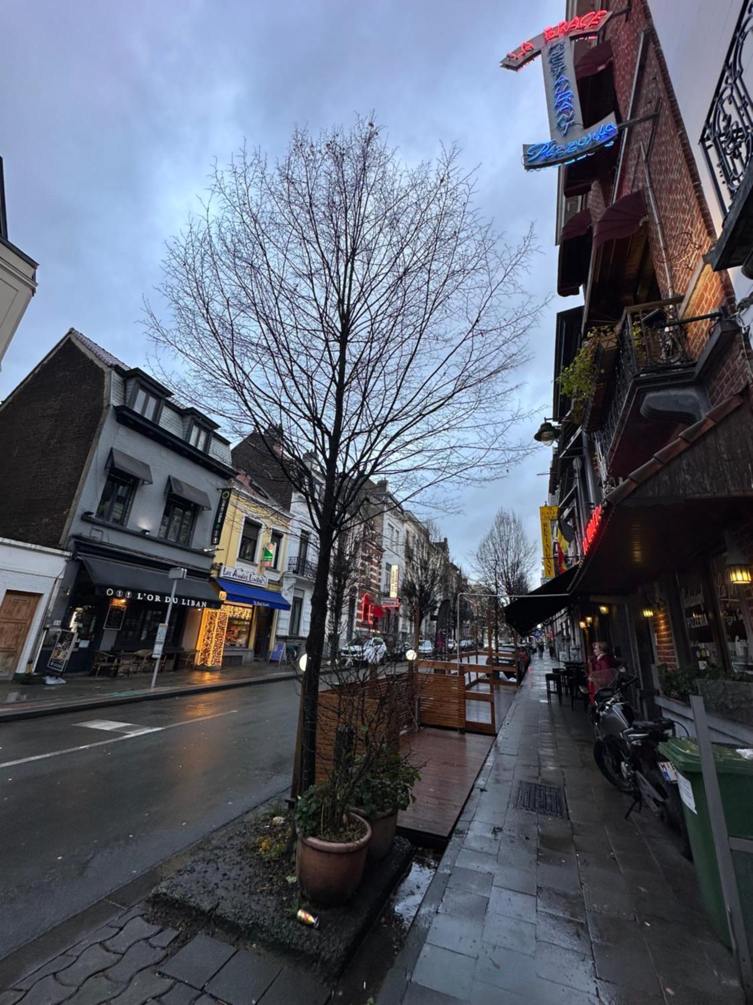 브뤼셀 My Haus European Commision B&B 외부 사진